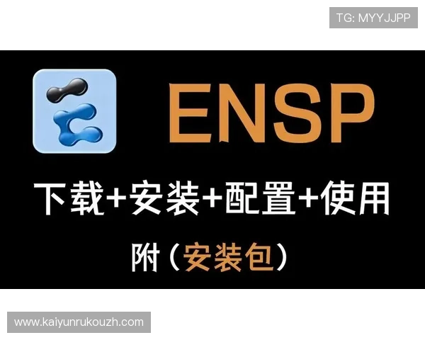 如何应对开云app官网下载出现的版本不兼容或安装失败问题